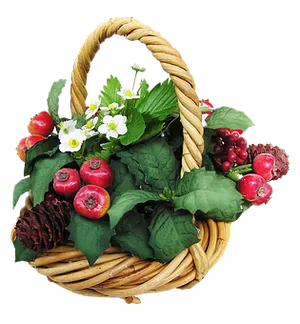Fruit Flower Basket Arrangement PNG image