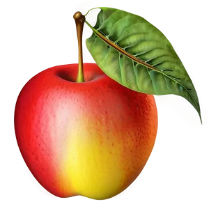 Fruit Shape Png Wkx PNG image