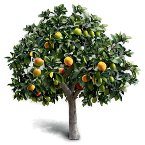 Fruit Tree Top View Png Twr10 PNG image