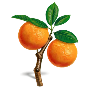Fruiting Orange Tree PNG Tud77 PNG