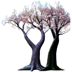 Full Bloom Cherry Blossom Tree PNG 05242024