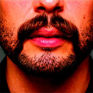 Full Bushy Mustache PNG Aqc