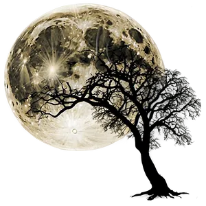 Full Moon Silhouette Trees PNG 05242024
