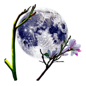 Full Moon Spring Bloom PNG 05242024