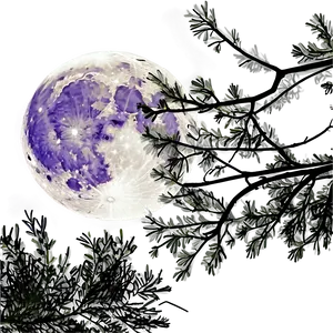 Full Moon Through Branches Png 05242024 PNG image