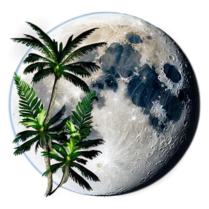 Full Moon Tropical Paradise PNG 05242024