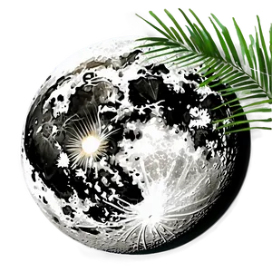 Full Moon Tropical Paradise PNG 39