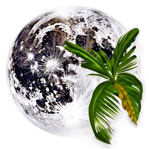 Full Moon Tropical Paradise PNG Aav