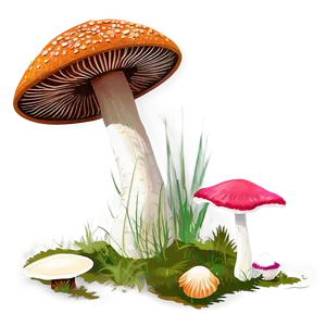 Fungi For Natural Dyes PNG 70