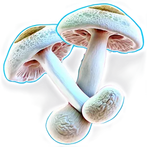 Fungi In Biotechnology PNG Ket17