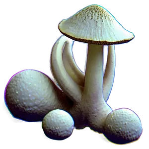 Fungi In Space Exploration PNG Bmx12 PNG