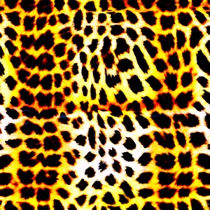 Funky Cheetah Print Image PNG 05232024