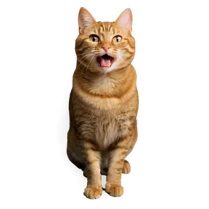 Funny Cat Meme Png Fgi PNG image