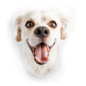 Funny Dog Barking PNG Wdv
