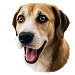 Funny Dog Face Meme Png Yju13 PNG image