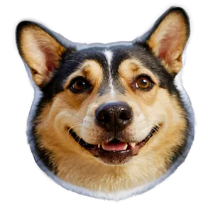 Funny Dog Head PNG 54 PNG