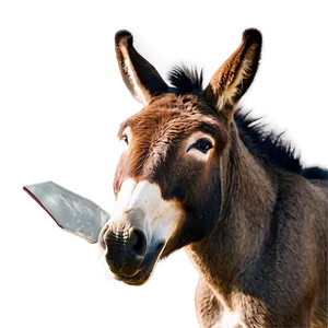 Funny Donkey Face PNG 14