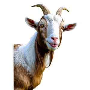 Funny Goat Png 95 PNG image