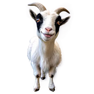 Funny Goat Png Ekp66 PNG image