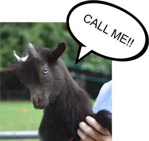 Funny Goat With Call Me Speech Bubble PNG image