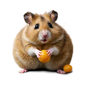 Funny Hamster Png Qgy PNG image