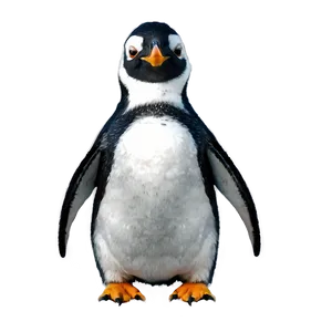 Funny Penguin PNG 05062024