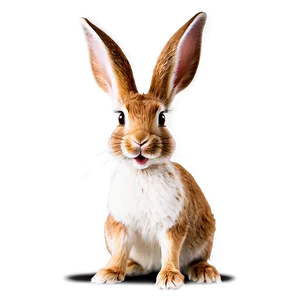 Funny Rabbit PNG 05062024