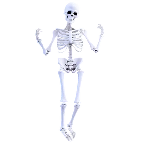 Funny Skeleton Dance PNG Nlk37