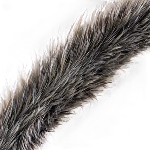 Fur Texture D PNG image