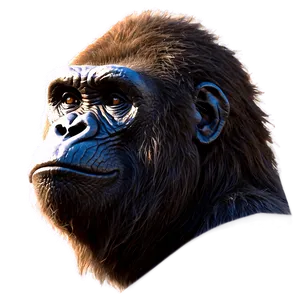 Furious Gorilla Head Png 18 PNG image