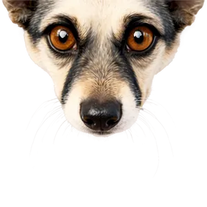 Furry Dog Nostrils Png Bfq99 PNG image