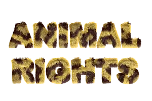 Furry Text Animal Rights