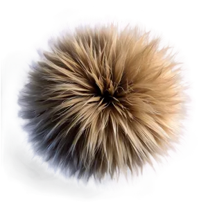 Furry Texture PNG 06272024