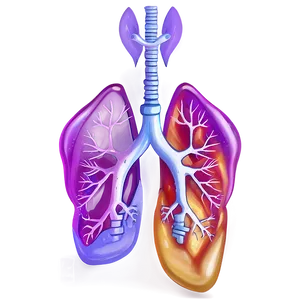 Futuristic Lungs Concept Png 88 PNG image