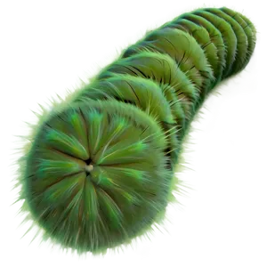 Fuzzy Caterpillar Texture PNG Tkk