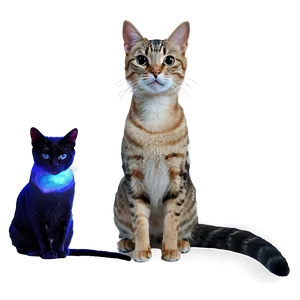 Galaxy Cat Filter PNG Huo