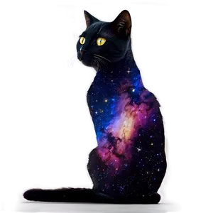 Galaxy Cat Png 06242024 PNG image