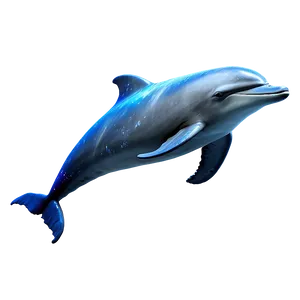 Galaxy Dolphin Png 05062024 PNG image