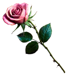 Galaxy Rose PNG 85