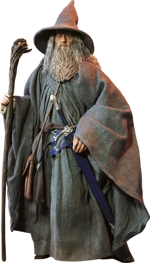 Gandalfthe Wizard Full Length Portrait PNG image