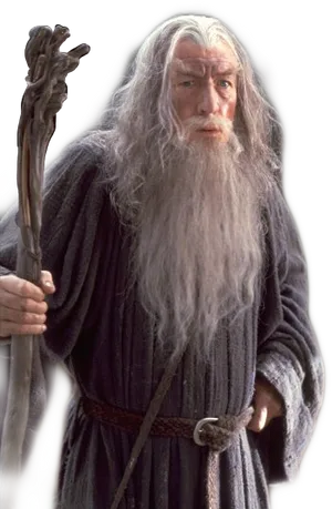 Gandalfthe Wizard Portrait PNG image