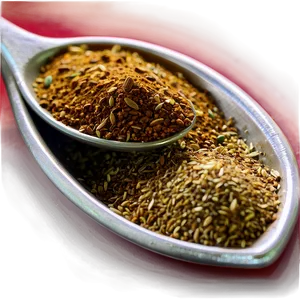 Garam Masala Seasoning PNG 06272024