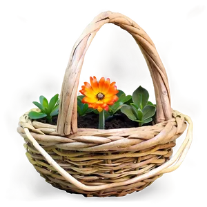 Garden And Outdoor Gifts Png 05242024 PNG image