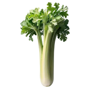 Garden Celery PNG Wda94 PNG