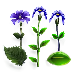 Garden Flower Transparent Png 05252024 PNG image