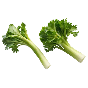 Garden Fresh Celery Png 06252024 PNG image