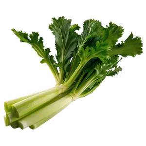 Garden Fresh Celery PNG Ifj80 PNG