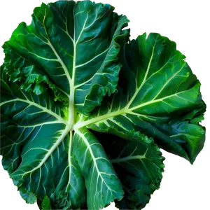 Garden Fresh Collard Greens PNG 06252024 PNG