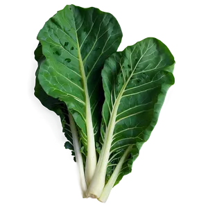 Garden Fresh Collard Greens PNG Mhj PNG