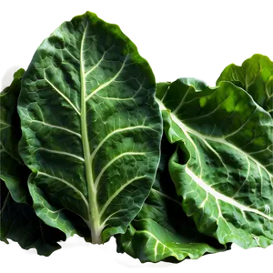 Garden Fresh Collard Greens PNG Vth43 PNG